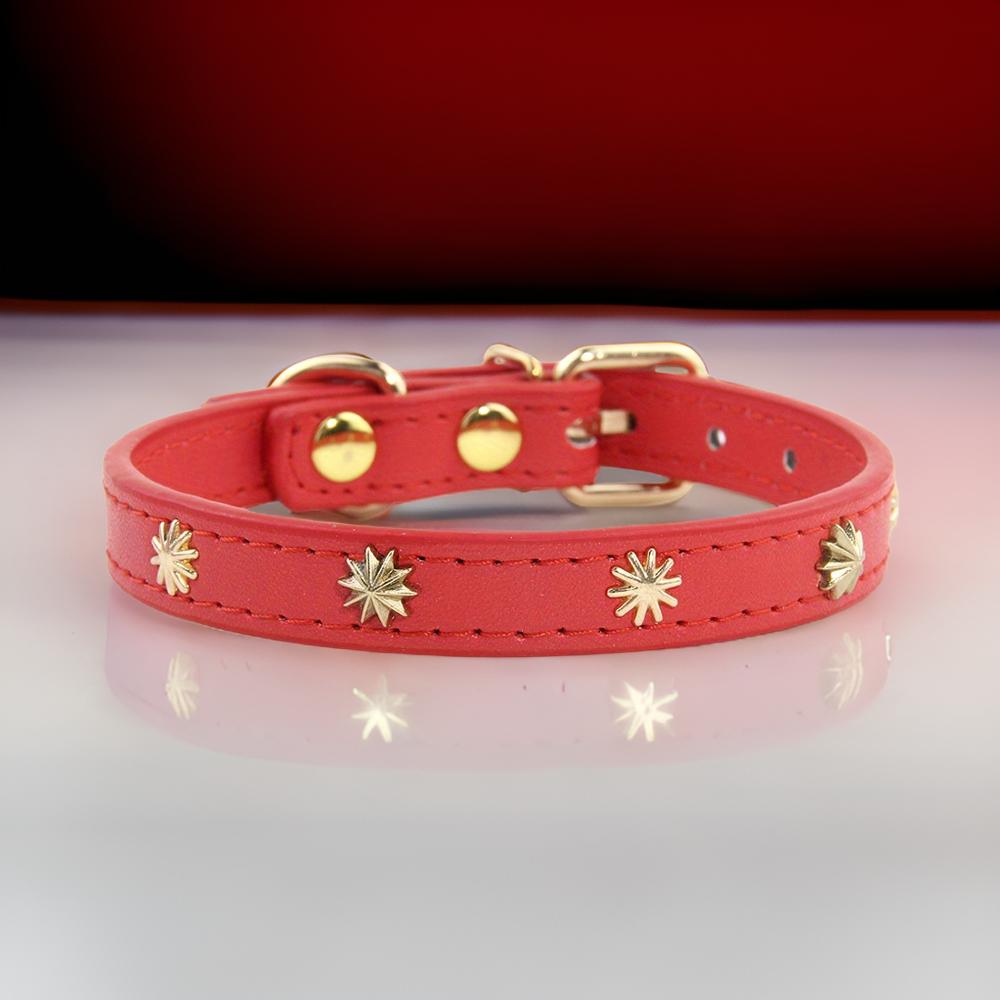 Collier pour chats - Cat Craft