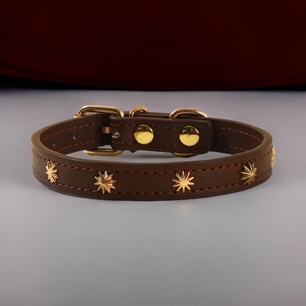 Collier pour chats - Cat Craft