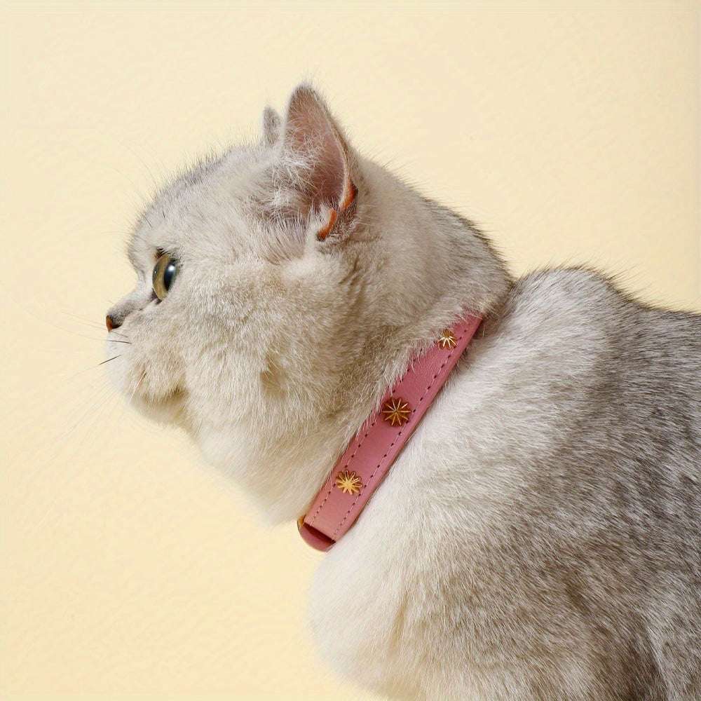Collier pour chats