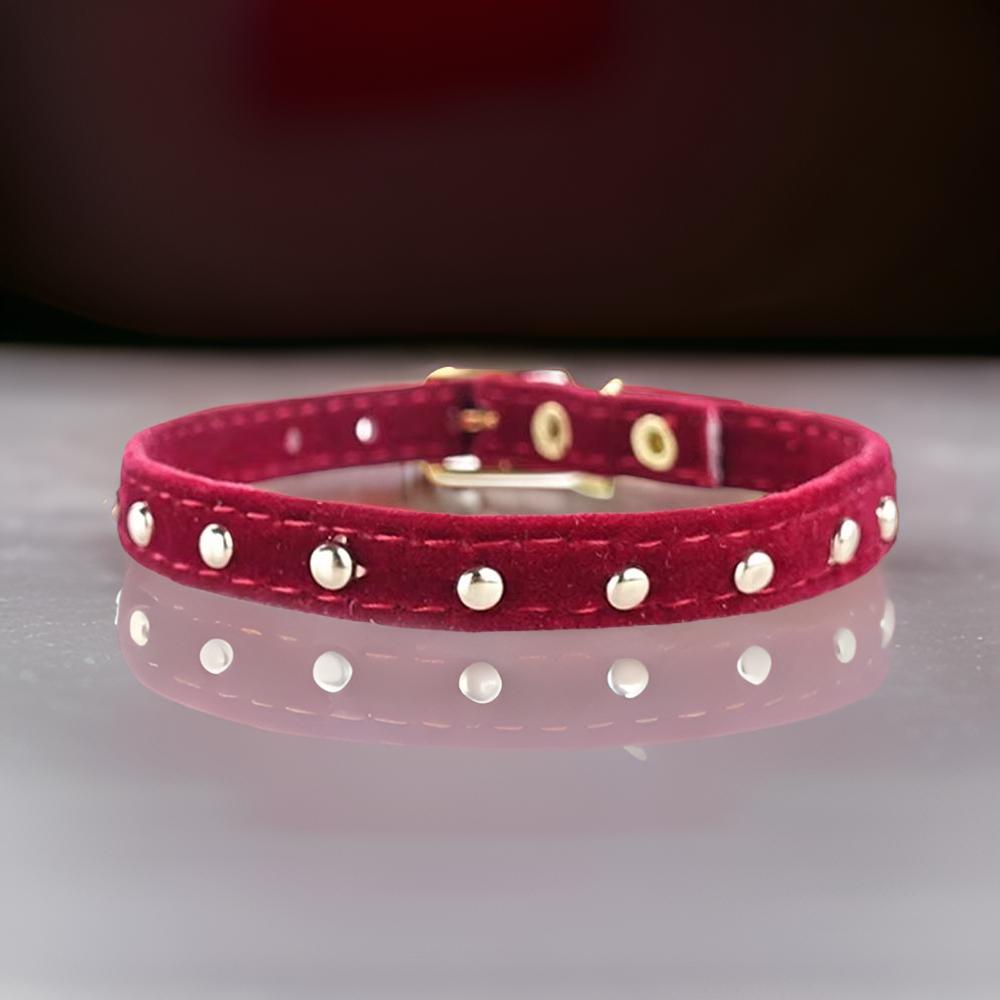 Collier pour Chats - Cat Craft