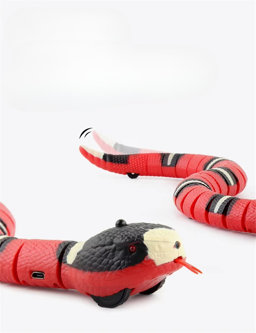 🐍 Serpent Cobra Interactif - Cat Craft