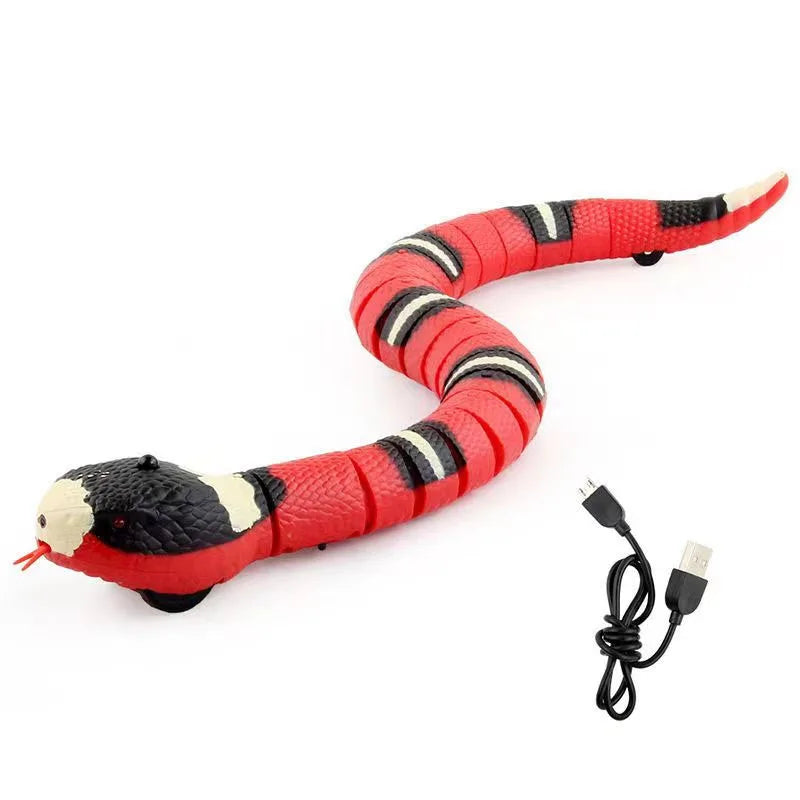 🐍 Serpent Cobra Interactif - Cat Craft