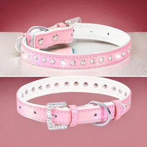 Collier pour chats